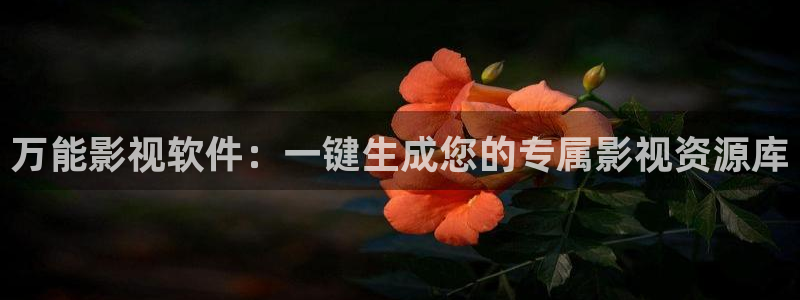 飘雪影视在线观看