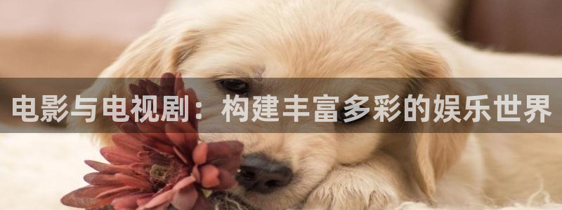 飘雪影院高清电影免费播放