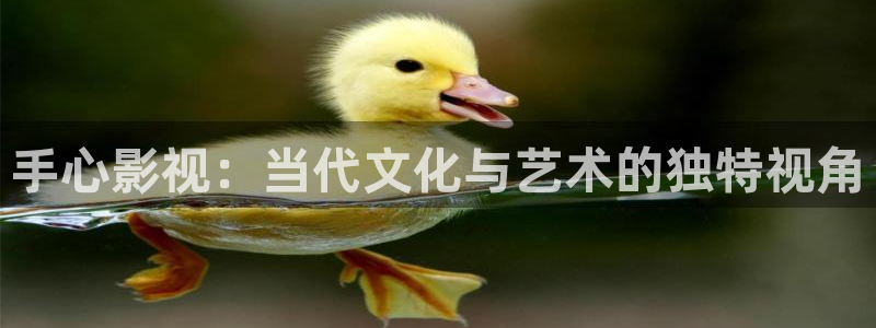 飘雪影院免费观看高清版