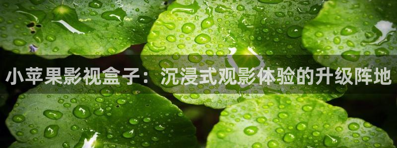 飘雪影院在线观看免费版高清