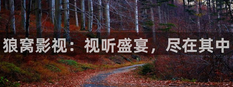 飘雪影院观看免费：狼窝影视：视听盛宴，尽在其中