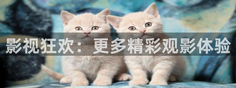 飘雪影院手机在线观看：影视狂欢：更多精彩观影体验