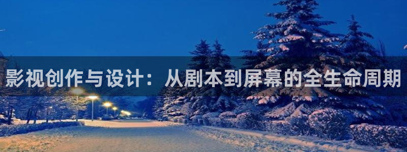 飘雪影视最新电影：影视创作与设计：从剧本到屏幕的全生命周期