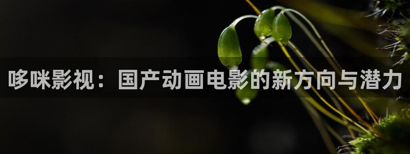 飘雪影院完整版：哆咪影视：国产动画电影的新方向与潜力